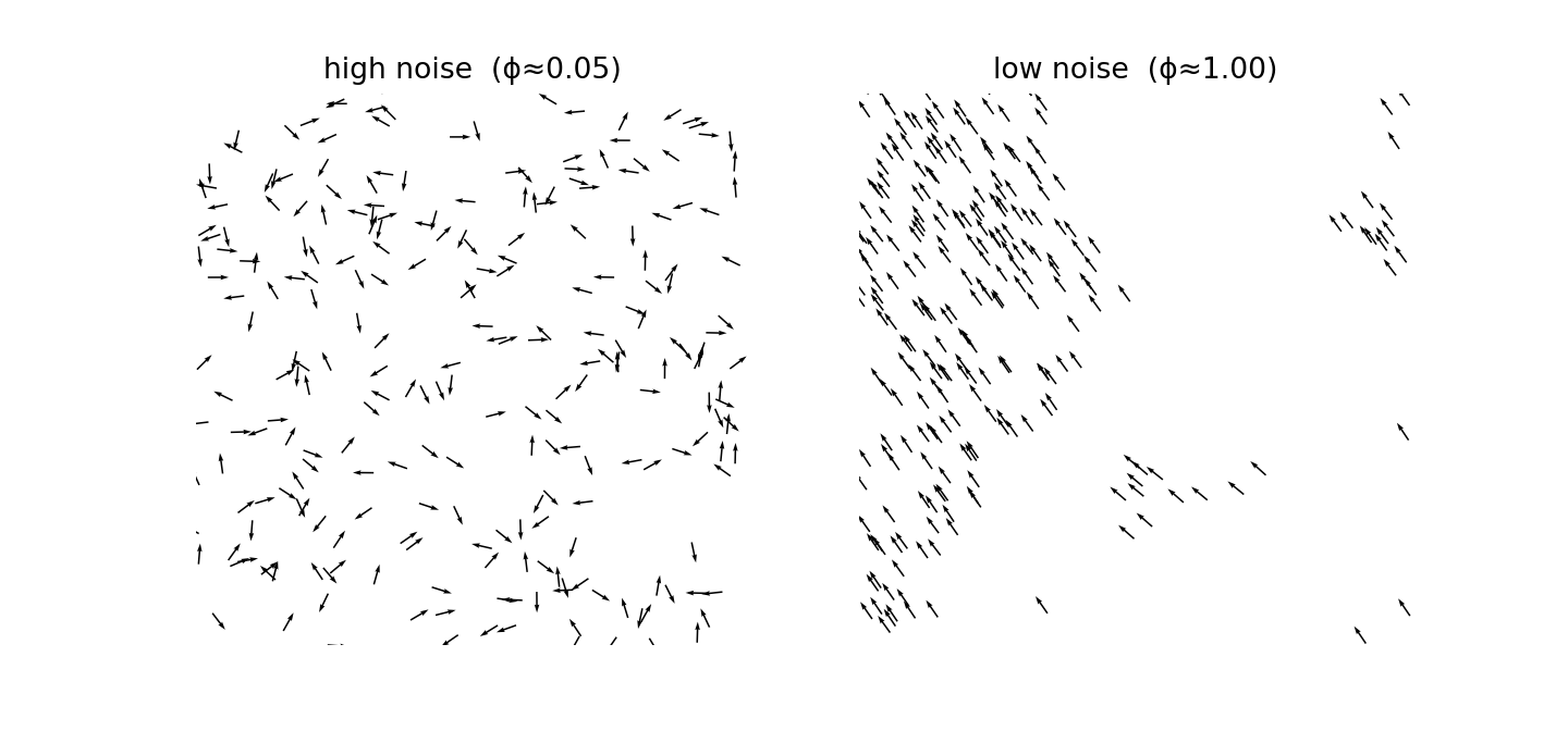Figure 24: Fig 6B - Vicsek snapshots: disordered gas vs aligned band