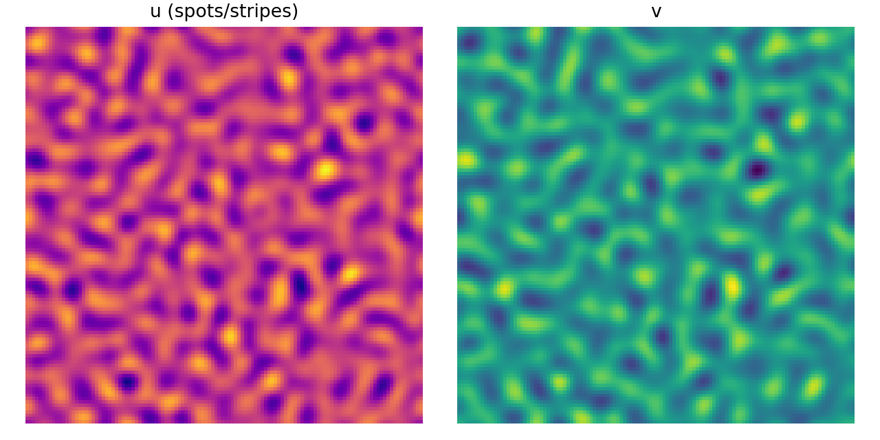 Figure 30: Fig 8B - Turing patterns (spots/stripes)